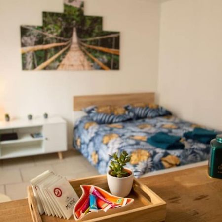 Studio Cosy Tv Wifi Confortable Et Chaleureux Gaillon Екстер'єр фото