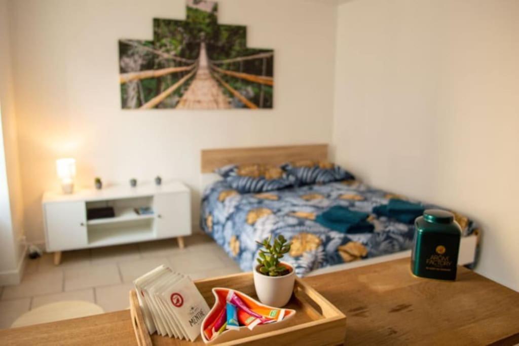 Studio Cosy Tv Wifi Confortable Et Chaleureux Gaillon Екстер'єр фото
